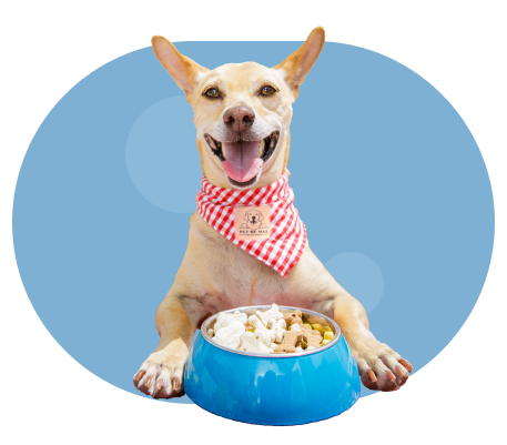dogbowl